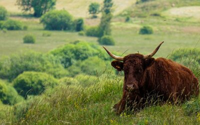 Aurillac,     Un territoire sûr et animé...